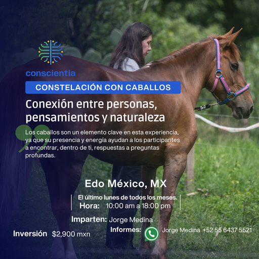 Constelación con Caballos (MXN)