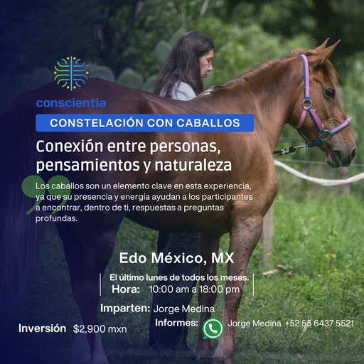 Sesiones | Constelaciones con Caballos